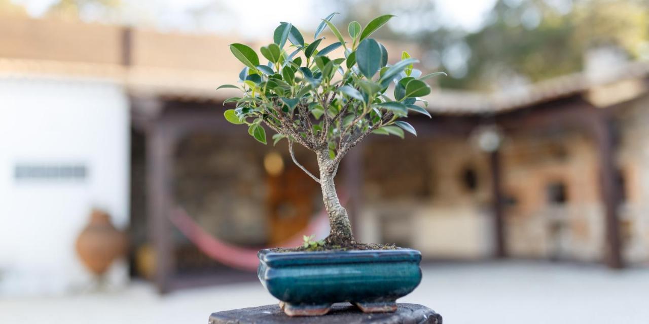 Quinta Dos Canteiros 花地瑪 外观 照片