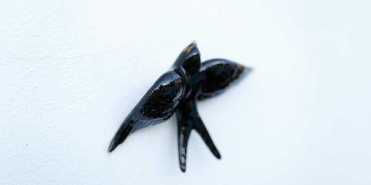 Quinta Dos Canteiros 花地瑪 外观 照片